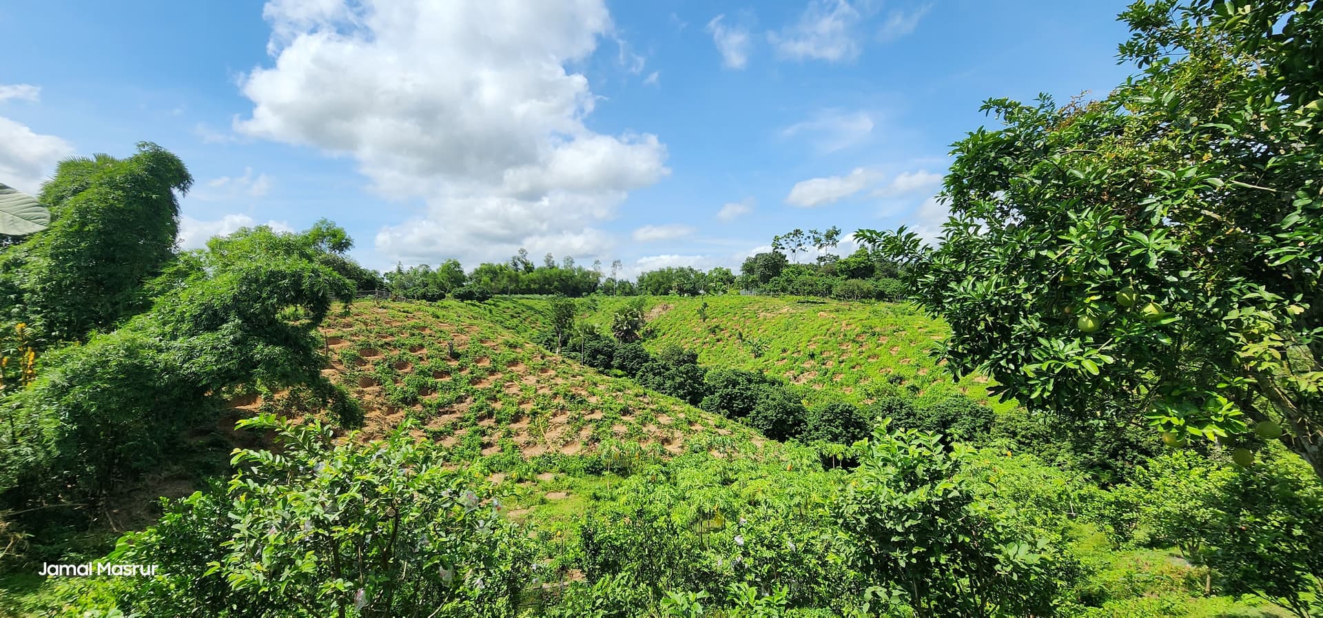 Agro Vision